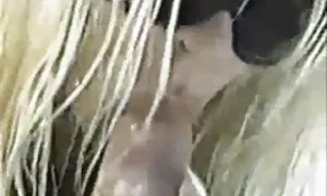 العاطفة افلام سكس مترجم كتابه عربي عرض الشريط هو زوجين شابين تصويره على الكاميرا