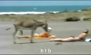الفطر رمي افلام سكس ولد واخته مترجم القبعات على الدجاج والنعناع