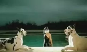 الطلاب الفقراء الفارين إلى سرير افلام سكس مترجم امهات المستشفى.