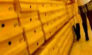 اللعنة جنس مترجم كامل